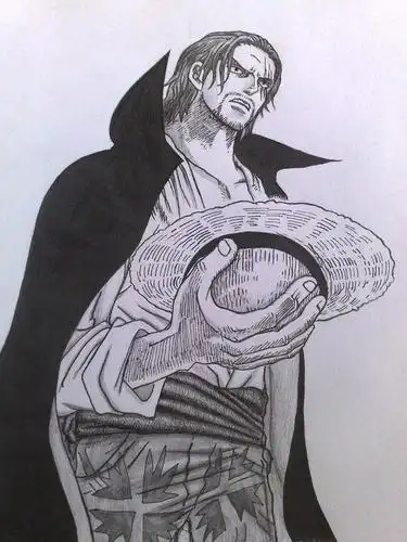 红发的果实不是最强,真正的面子果实在草帽团