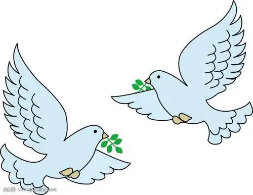 卡通鸽子简笔画画法小鸽子简笔画怎么画小鸽子简笔画顺序画画原来如此