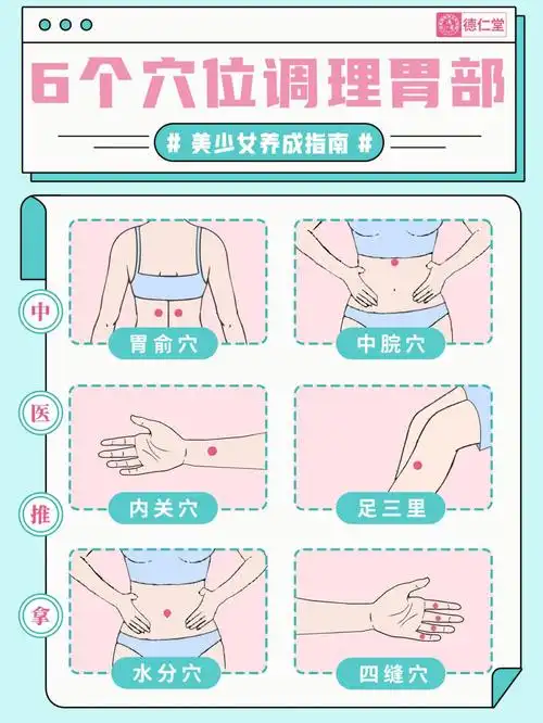调理胃部必备指南6个穴位快速舒胀气止胃痛