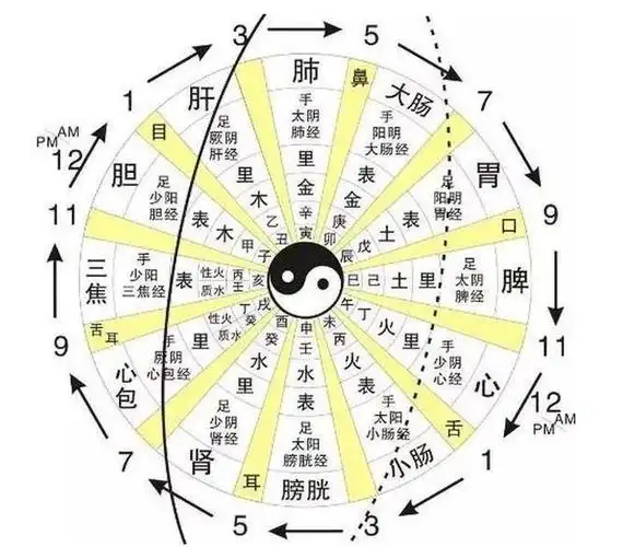 小周天呼吸吐纳之法( 道家吐纳呼吸法运行图)_酷知识