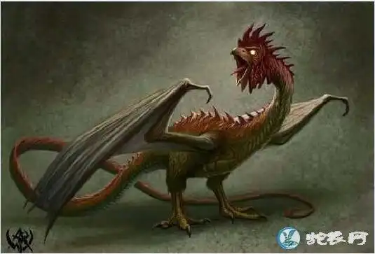 公鸡蛇图片真正的鸡冠子蛇长什么样子