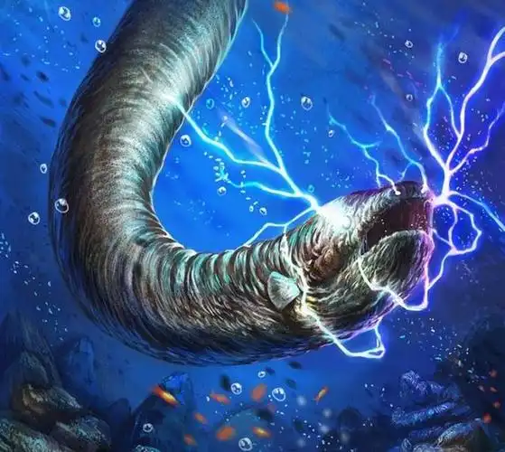 鳗 鳗鱼_品学知识网