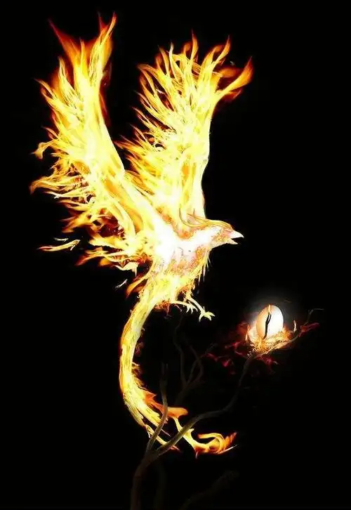 凤凰涅盘浴火重生