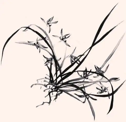 图文教程:轻松学画三幅写意兰花小品_中国画_零二七艺考