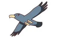 白头海雕简笔画