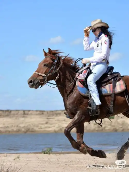 评论女生骑马不骑什么意思