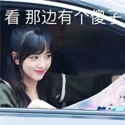 blackpink可爱沙雕表情包