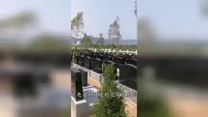 济南市青龙山墓园简介_济南公墓