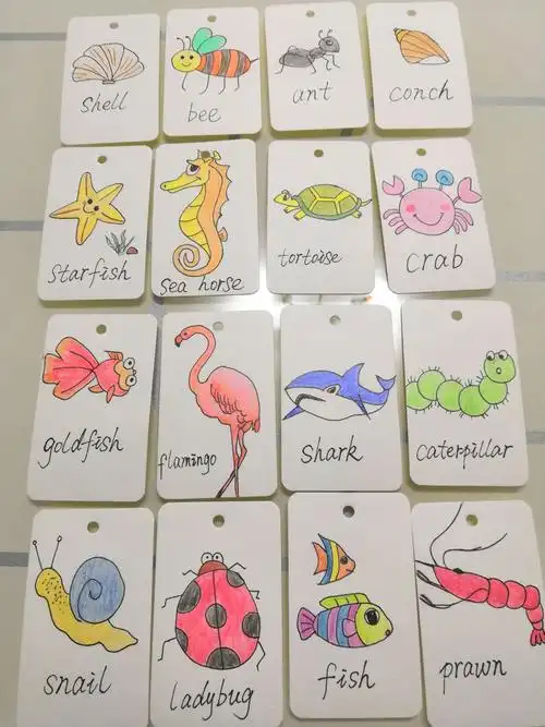 aria妈妈手绘英语单词卡