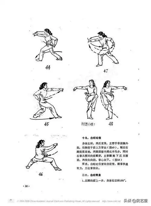 古武秘籍蛇拳原貌版中