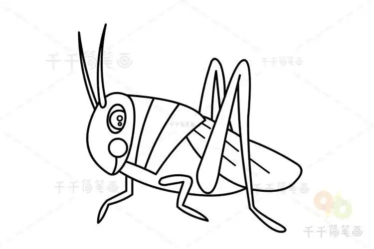 可爱的蟋蟀简笔画