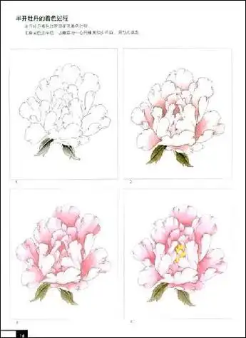 牡丹上色简笔画