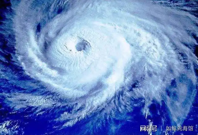 鲇鱼南施台风是1961年太平洋台风季的一个热带气旋,风暴在9月7日形成