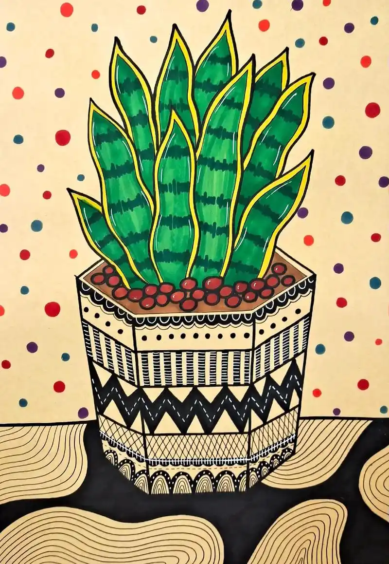 创意线描画‖虎皮兰.#盆栽绿植 写生/虎皮兰#手绘 #画画  - 抖音