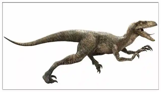 重爪龙(baryonyx)
