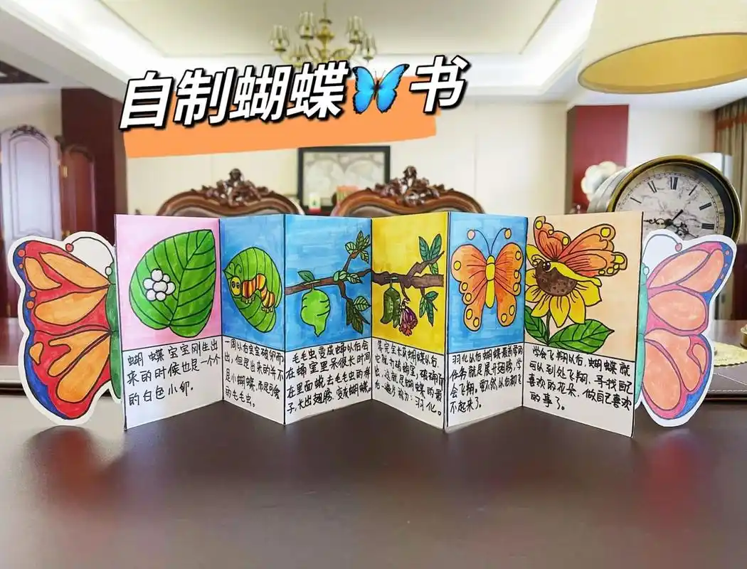 自制绘本|毛毛虫是如何蜕变成蝴蝶的?