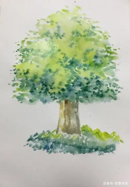 水粉画好大一棵树