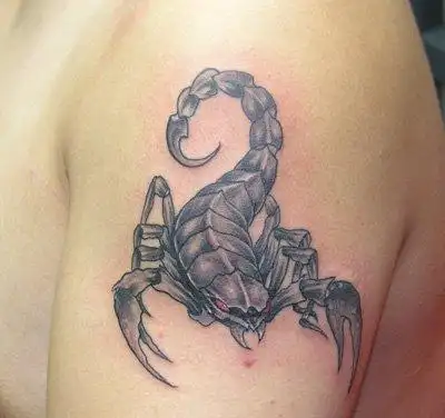 蝎子纹身图案有什么好看的请发图