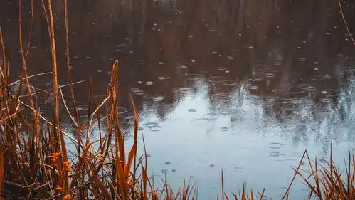 天街小雨润如酥