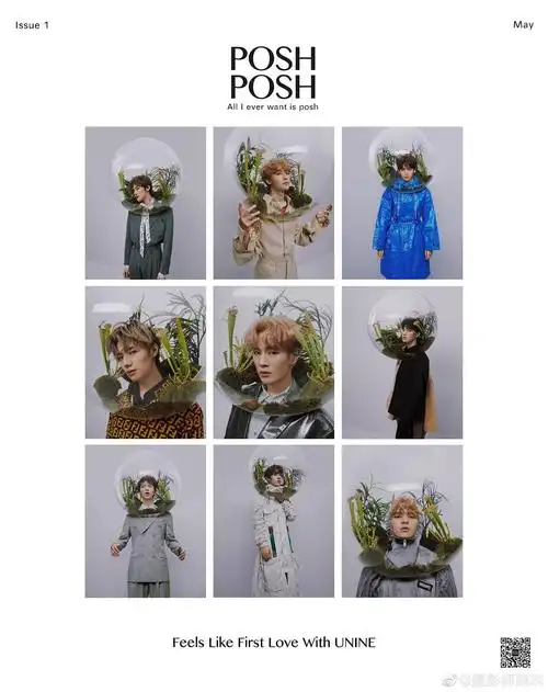poshposh来啦!