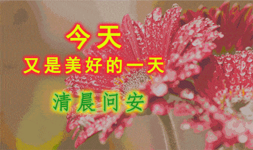 2020最新版夏天早上好祝福语温馨表情图片早上好阳光祝福表情问候图片