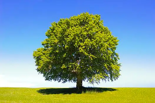 户外 图片_户外 图片大全_户外 图片素材