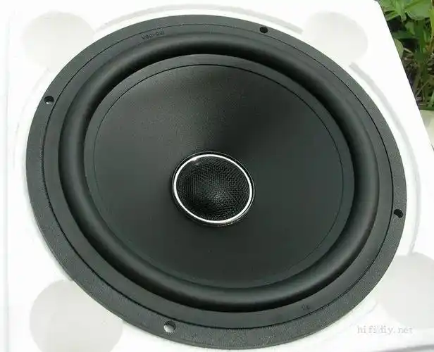 [贴图]银笛的同轴喇叭