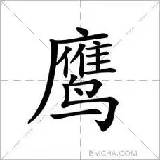 鹰字的意思读音,组词详细解释及笔画数_新华字典_99查询网