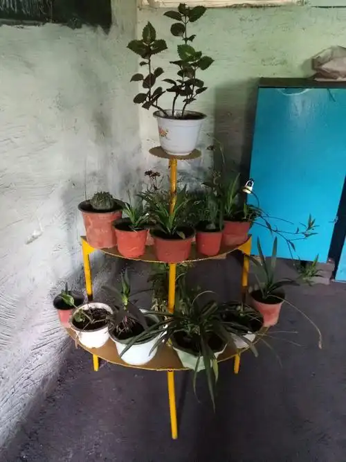 机修老大哥给焊的花架子