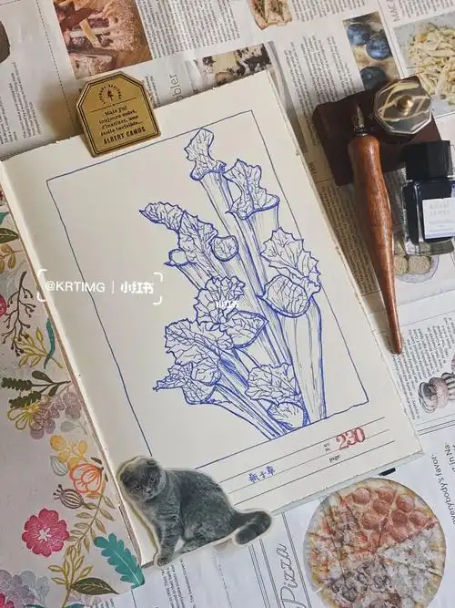 今日份画画瓶子草(学名:sarracenia )是瓶子草科瓶子草属植物.