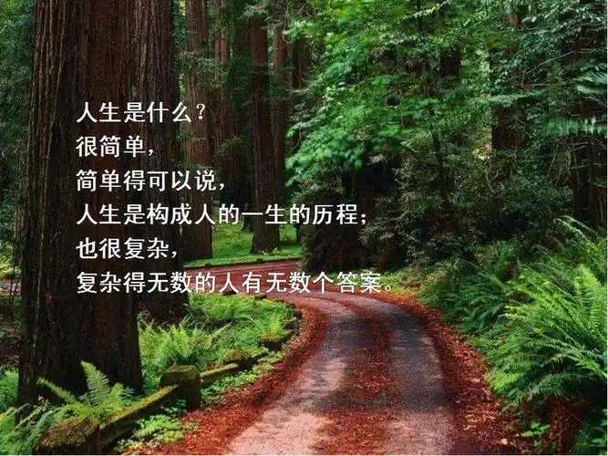 【引用】人生哲理:人生就是一条路