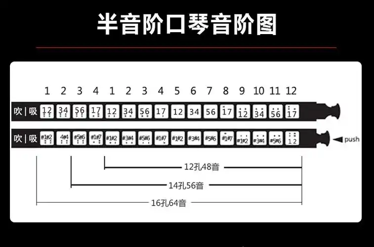 国光口琴半音阶专业口琴swan12 16追梦人演奏成人练习初学新手口琴 12