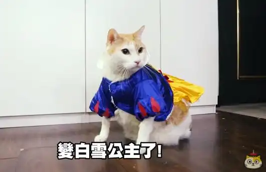 开心口唱「拜年歌」!皇阿玛穿龙袍过年 腰内肉炸裂啦