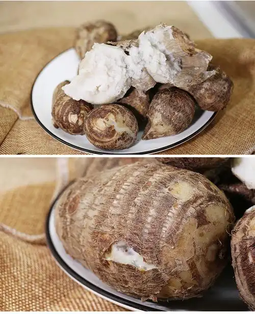 密云农家自种新鲜蔬菜小毛芋头4斤