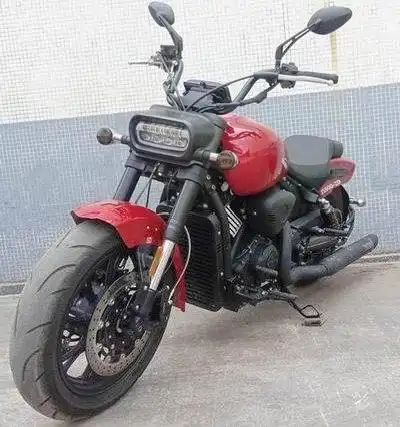 【图】国产肥仔的感觉 建设 js900-2d_摩托车论坛_汽车之家论坛