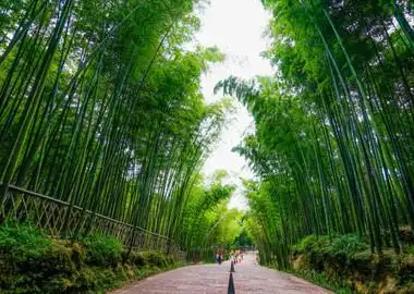 么,竹旅玩怎蜀略南竹南游攻川四蜀海海