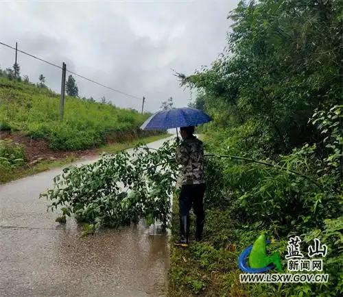 祠堂圩镇:人民至上防汛情_乡镇动态_蓝山县人民政府