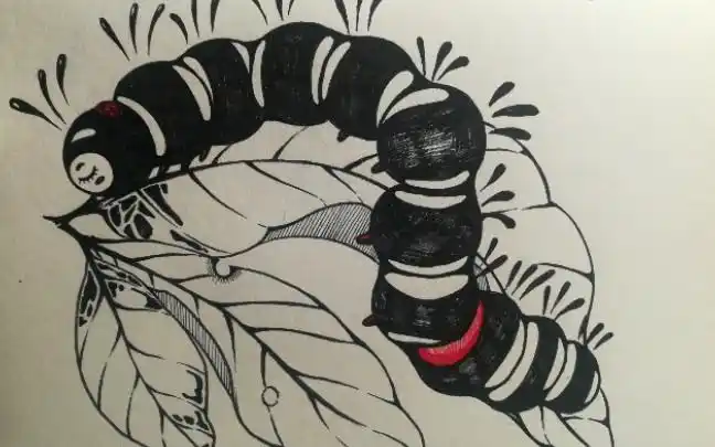 【线描】毛毛虫