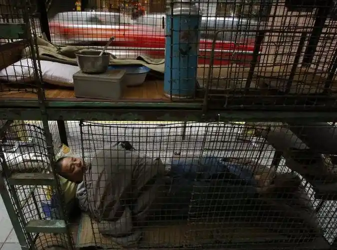 一个不到100平方的空间里,被间隔出几十个铁笼,能挤下200多号人.