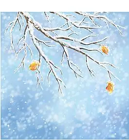 冬天里的树枝插画