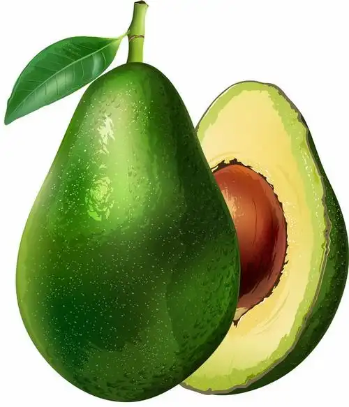 切开的牛油果美味水果横切面png图片免抠矢量素材