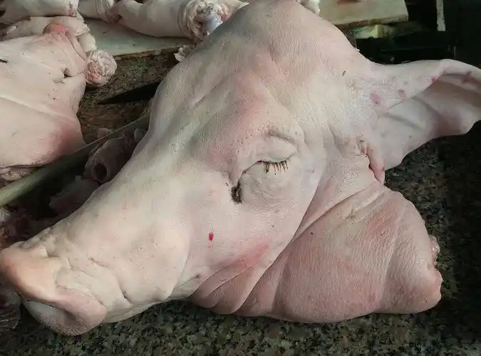 朱老板脑瓜一转猪头劈开了卖 原来一天卖两只现在十只猪头不够卖