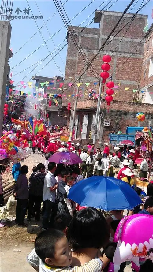 图片_广东省梅州市五华县棉洋镇平安村