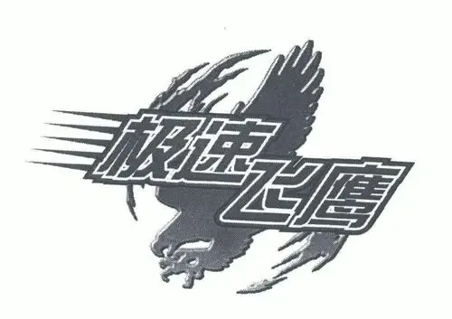 em>极速 /em>飞鹰
