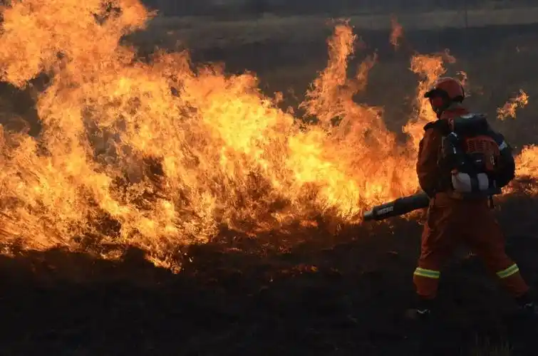 在东北林区,春天是更让他们提心吊胆的季节|消防员_新浪财经_新浪网