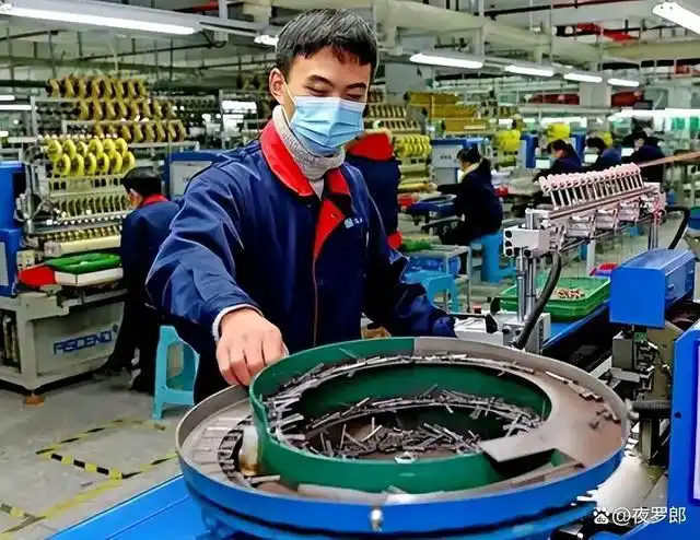 董明珠叫大学生进厂打螺丝,但实例告诉你们,那样会变成没用的人