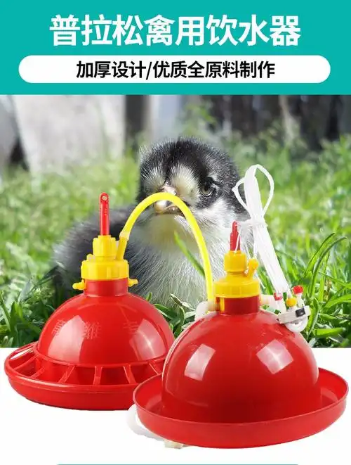 耐尔尼普拉松鸡饮水器养鸡自动喂水器鸡用小鸡喝水壶鸽子水桶水壶鸡鸭