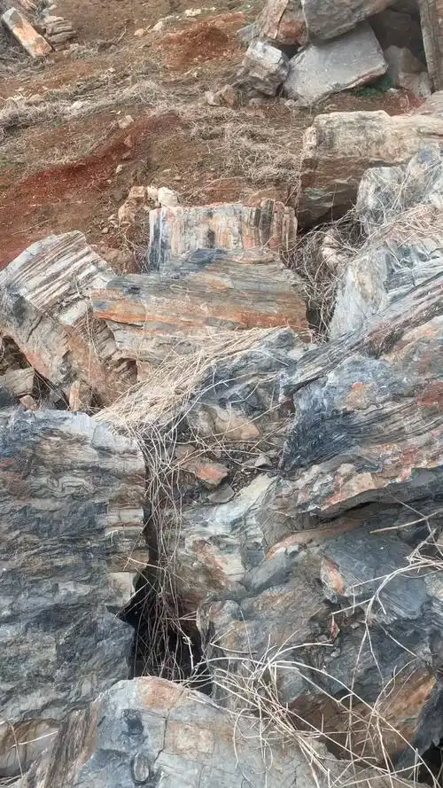 千层石价格,千层石厂家,千层石供应,千层石产地,千层石批发零售,假山