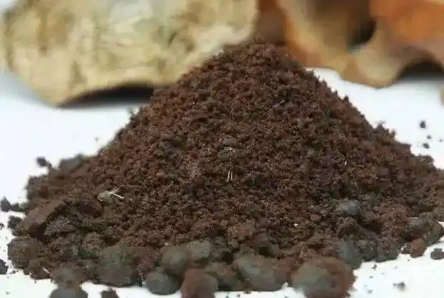 麝香是啥动物身上的东西哪个部位取出来的