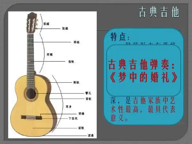 吉他介绍ppt